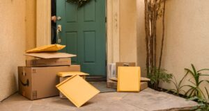 de minimis shipment